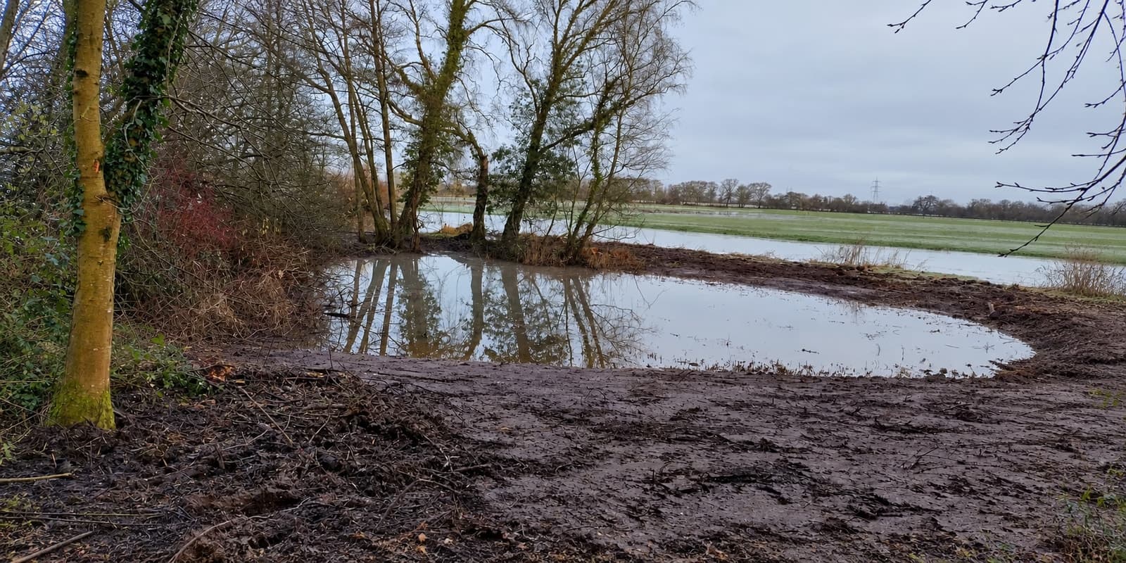 Pond visible and accessible after clearance work