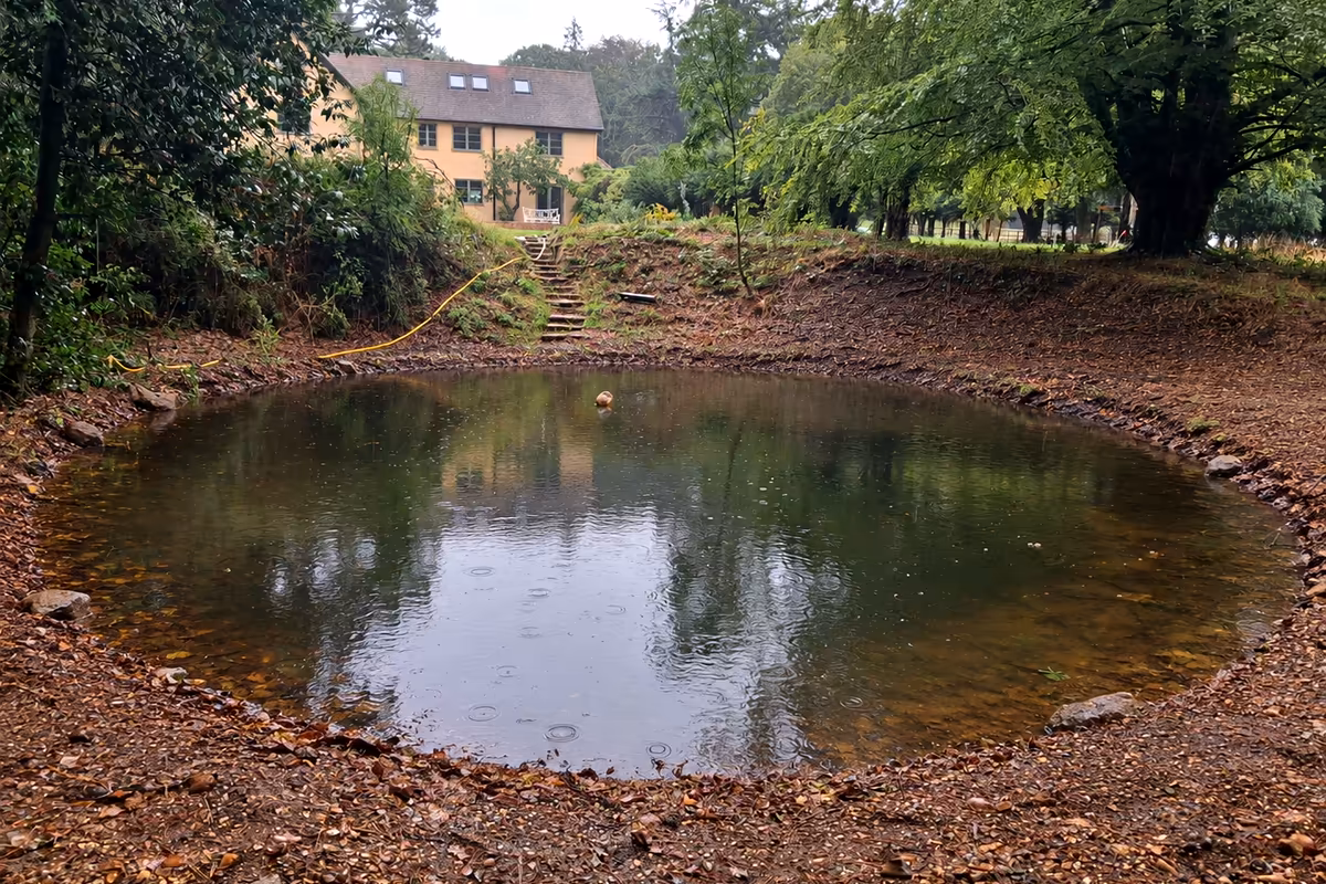 The finished pond full of water, the house and steps behind it