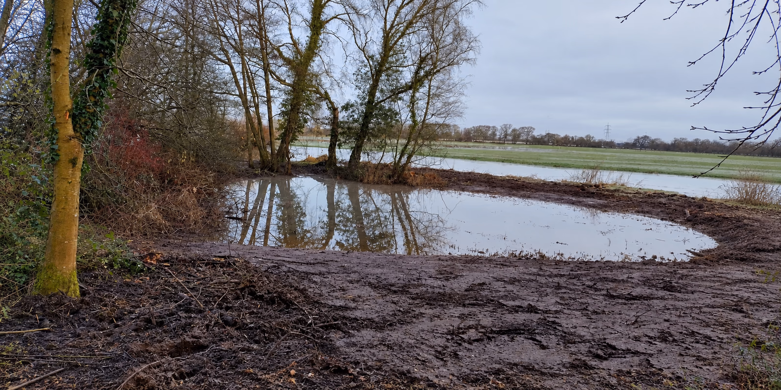 Pond visible and accessible after clearance work